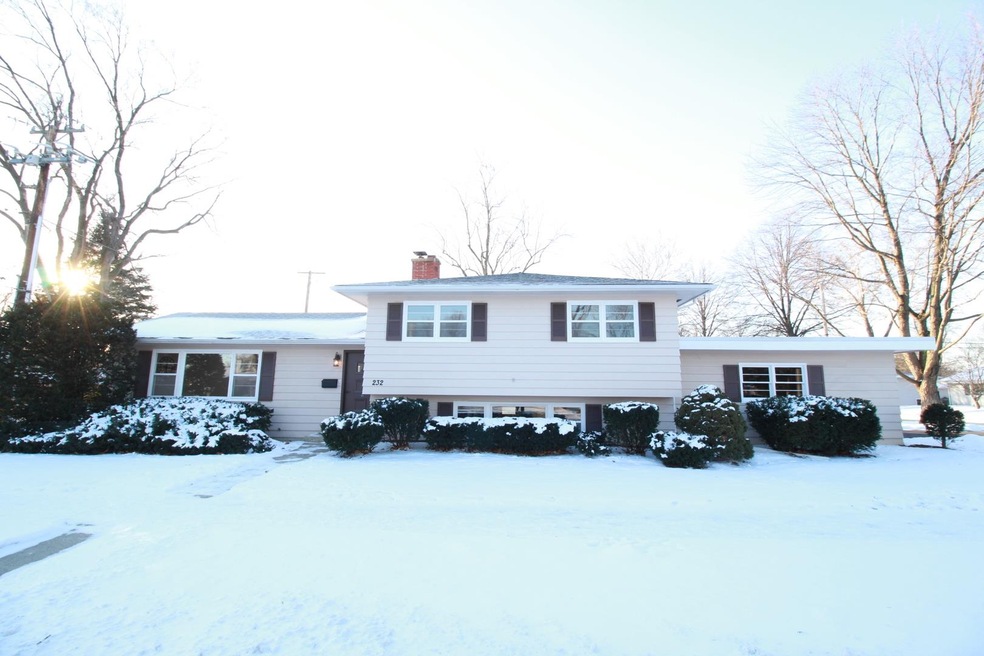 232 Tamarack Ave, Naperville, IL 60540 - photo 1