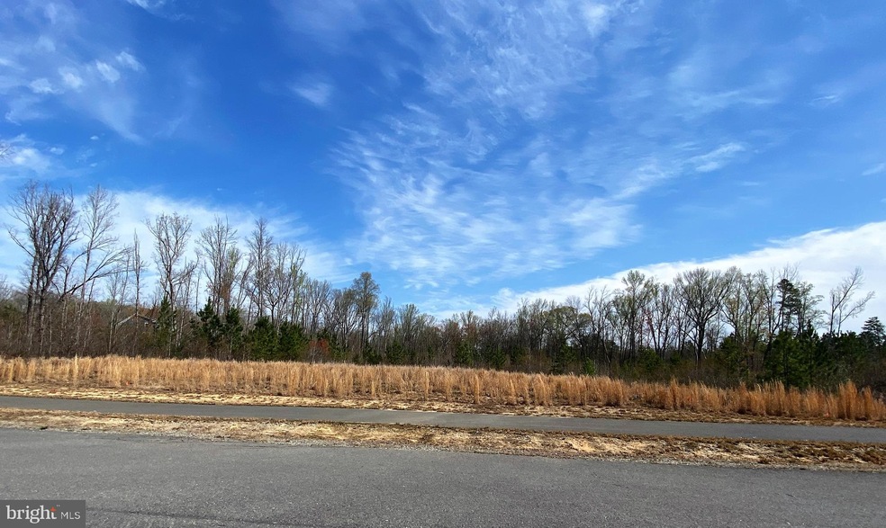 Lot 5 Downton Ave, Livingston, VA 22553 - photo 1