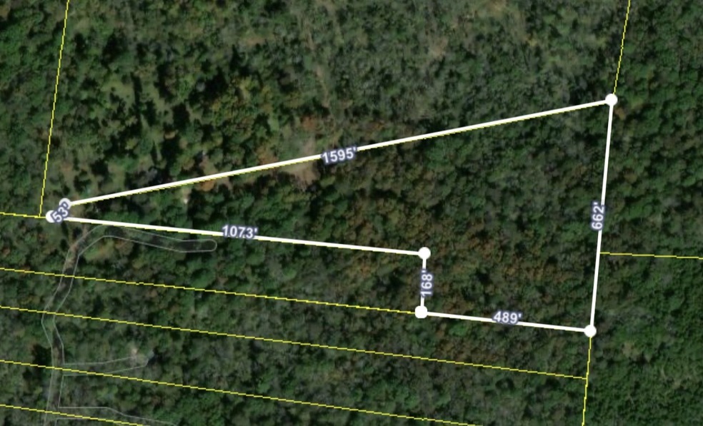 0 Henslee Rd E unit RTC2187341, Shelbyville, TN 37160 - photo 1