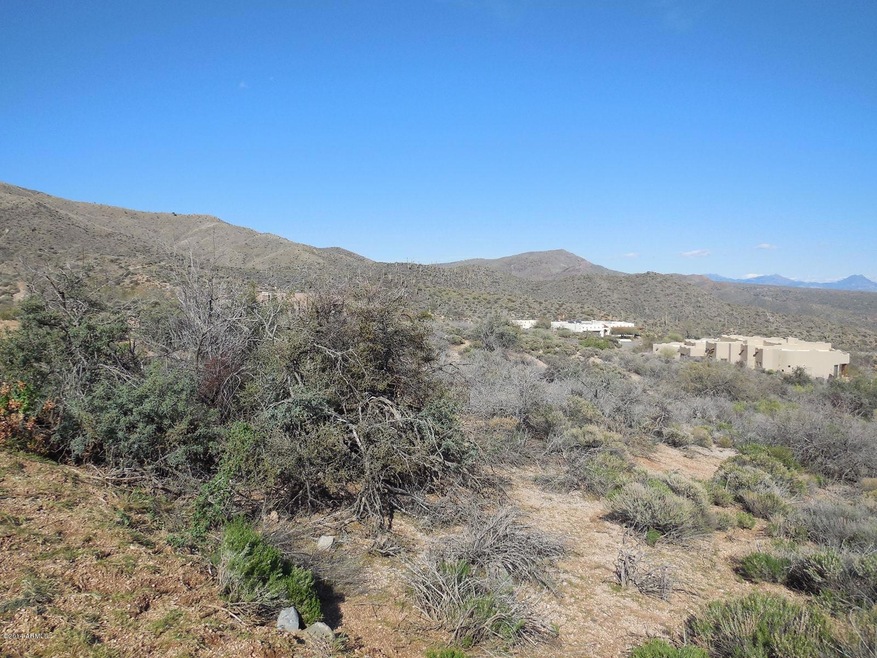 Looking to the Tonto National Forest