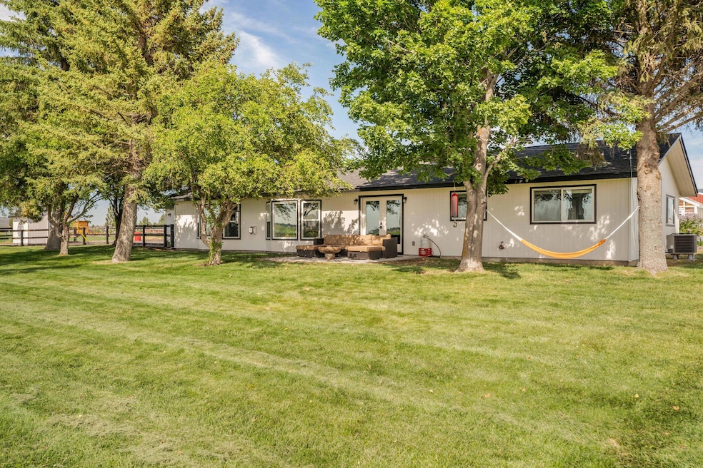 Photo Aug 07 2024, 3 49 41 AM