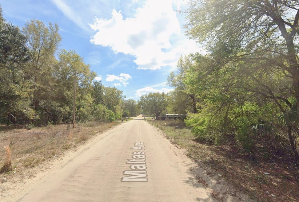 0 Maltas Ave unit 25650358, Interlachen, FL 32148 - photo 1