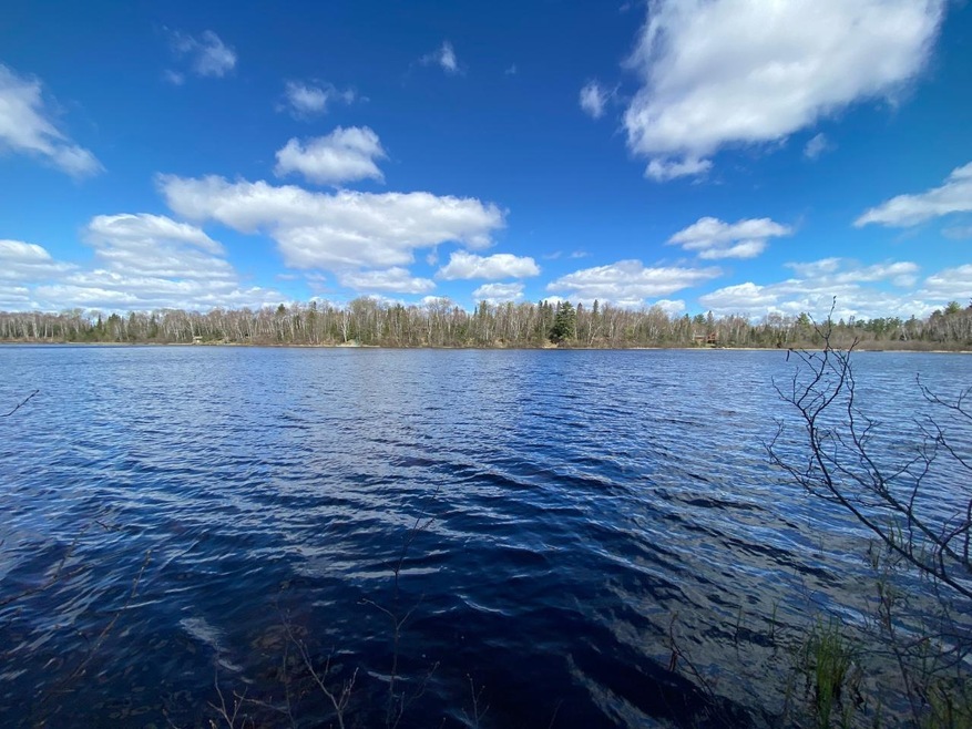 Sold $49,000 • Co-Listing Agent