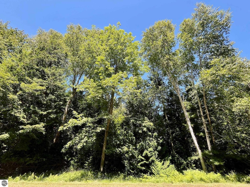 0 Concord Dr unit 131-32 1936588, Oscoda, MI 48750 - photo 1