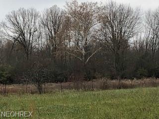 0 Parsons Rd, Oberlin, OH 44074 - photo 1