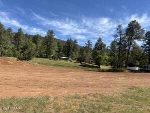 000000 Juniper Rd, Strawberry, AZ 85544 - photo 1