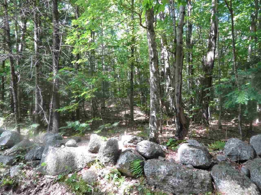 0 Old Perkins Rd unit 8 4652194, Meredith, NH 03253 - photo 1