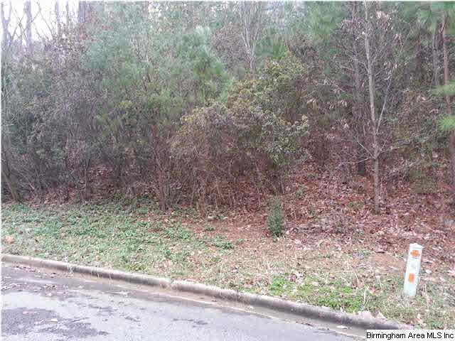Beautiful sloping lot in Mountain Brook on a cul d