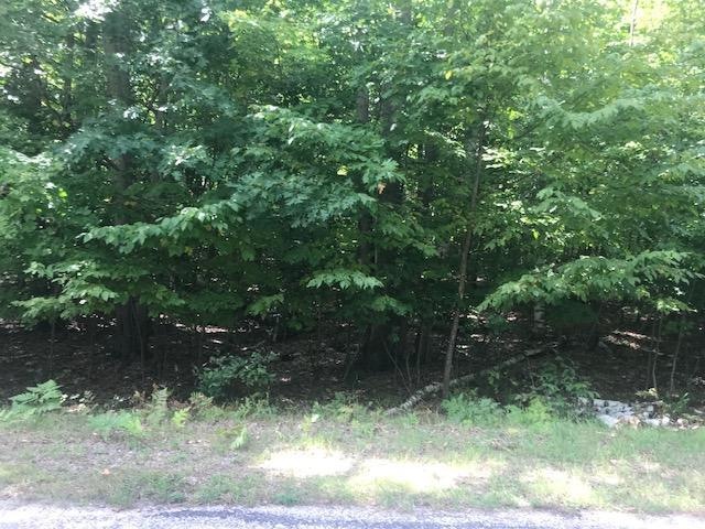 lot photo