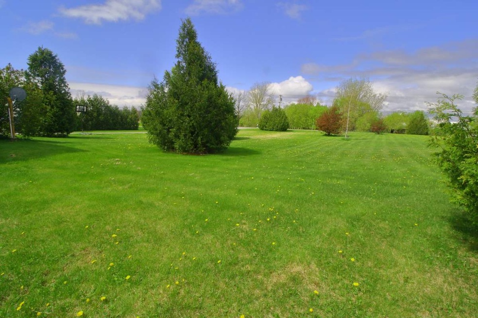 Front yard with mature trees