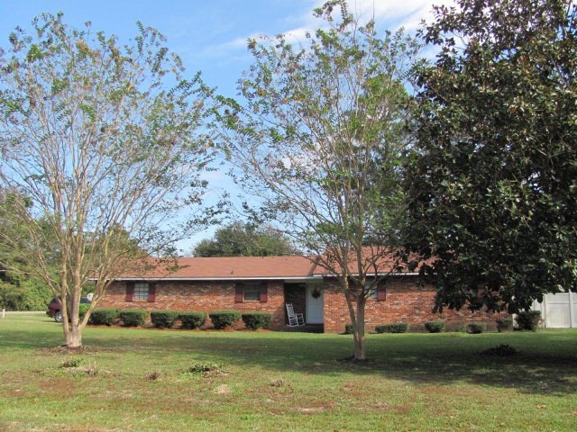 Main View