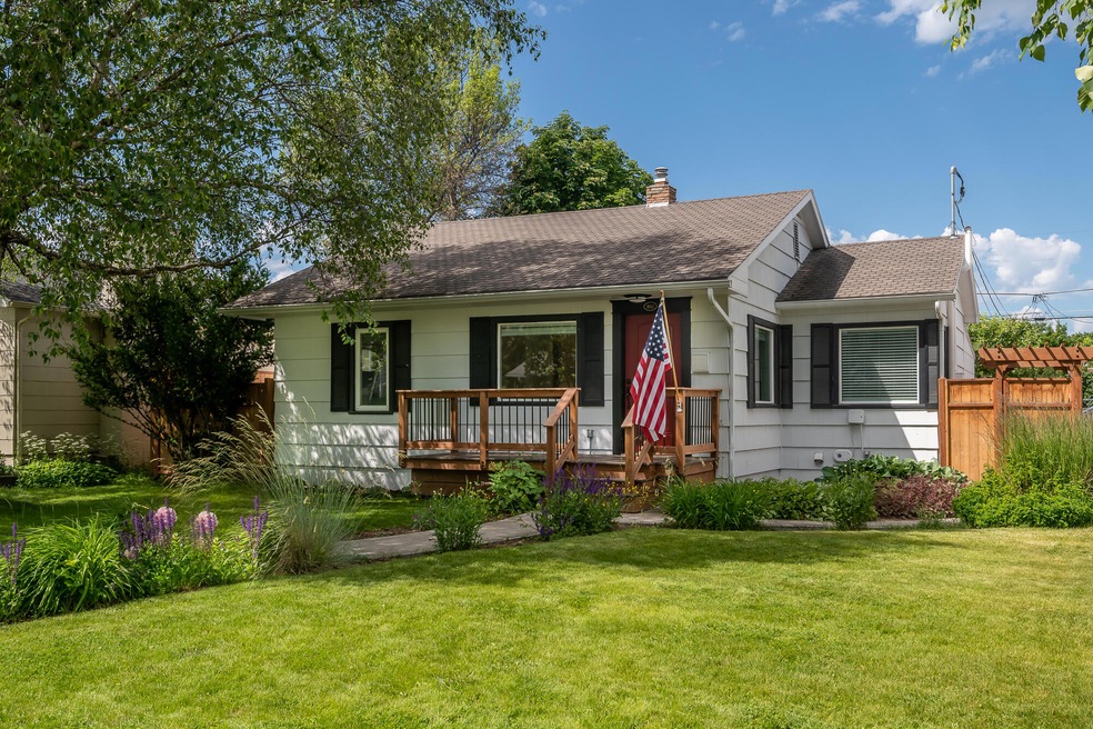 Large Shade Tree for Front Deck