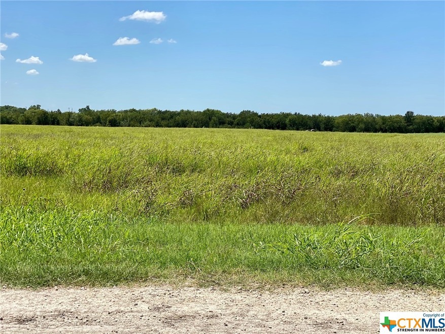 TBD Fm 935 Tract 5, Troy, TX 76579 - photo 1