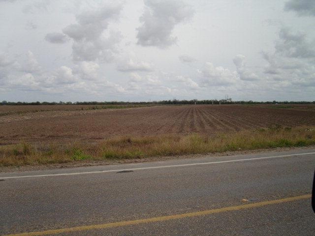 M.3 1/2 S Fm 493, Donna, TX 78537 - photo 1