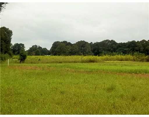 0 Highway 613 unit 3297096, Lucedale, MS 39452 - photo 1