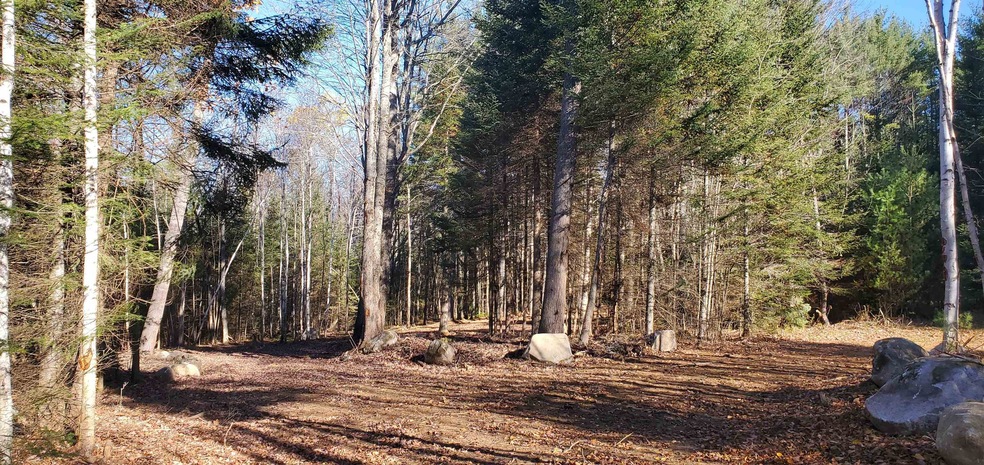 35 Bear Paw Trail unit 35, Littleton, NH 03561 - photo 1