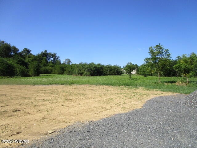 205 16th St, Northumberland, PA 17857 - photo 1