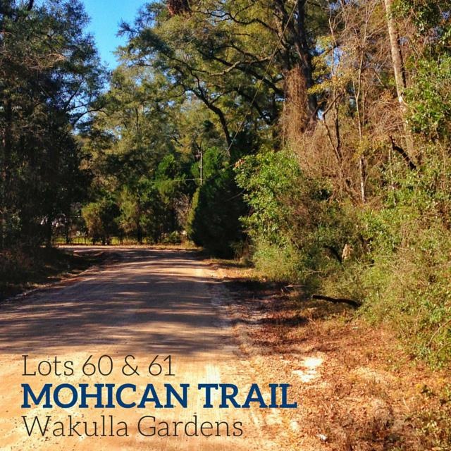 Lots 60 & 61 Mohican Trail, Crawfordville, FL 32327 - photo 1