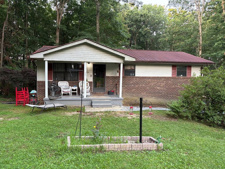 Main View