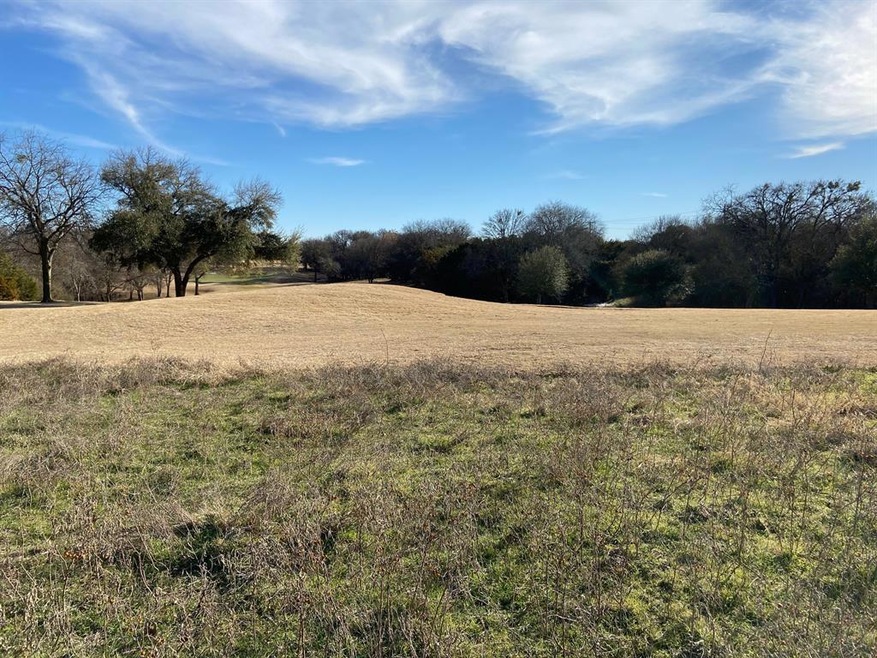 14021 Sandy Oaks Dr, Whitney, TX 76692 - photo 1