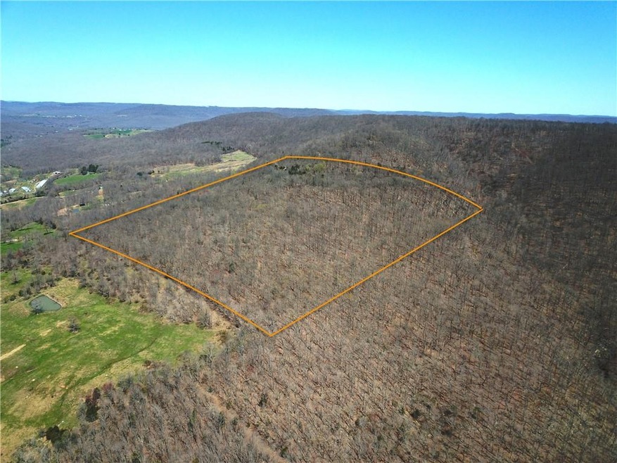 unlisted-address, Crosses, AR 72727 - photo 1