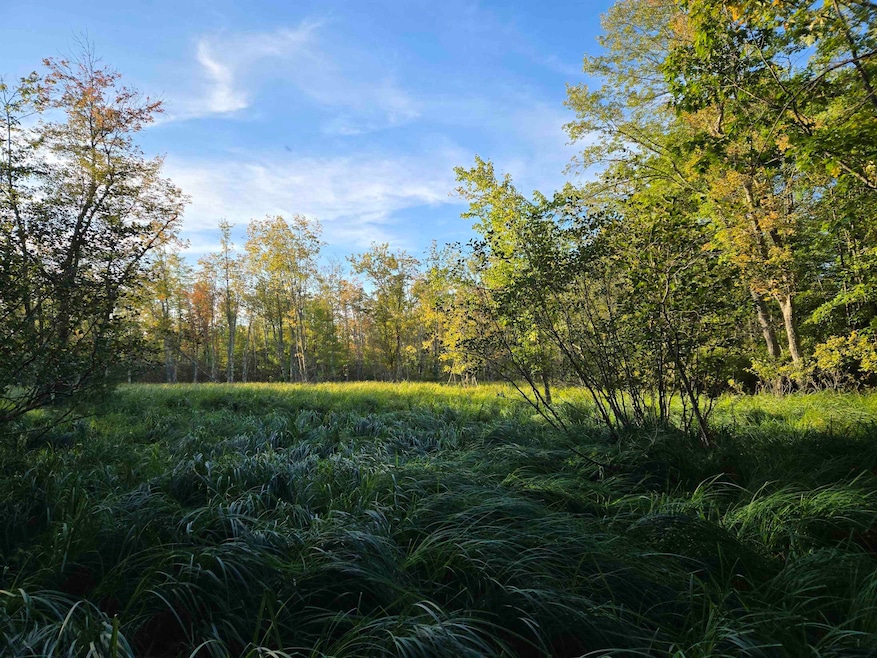 0 Nute Rd unit 19B 5060365, Madbury, NH 03023 - photo 1
