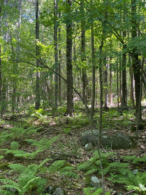 653 Sixth Rd, Pembroke, NH 03275 - photo 1