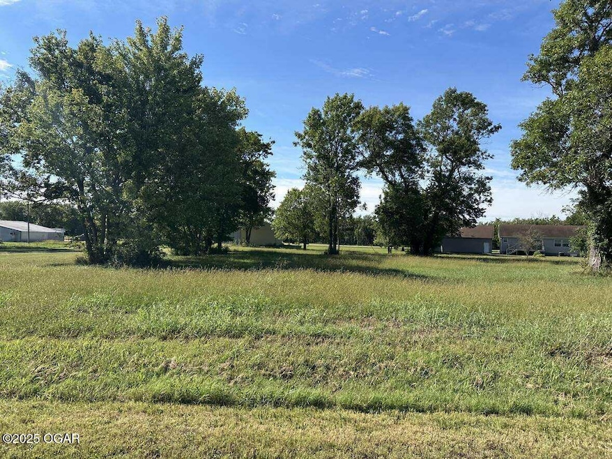 219 Mcclung Ave, West Mineral, KS 66782 - photo 1