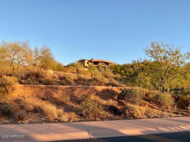 10039 N MCDOWELL VIEW Trail, 25