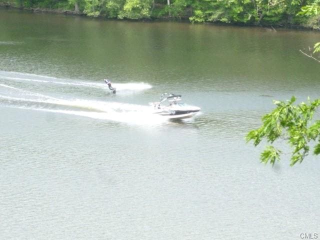 115 Forest Dr, Sandy Hook, CT 06482 - photo 1