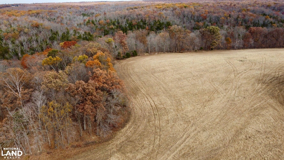 0000 Polston Ln, Hickory Grove Township, MO 63357 - photo 1