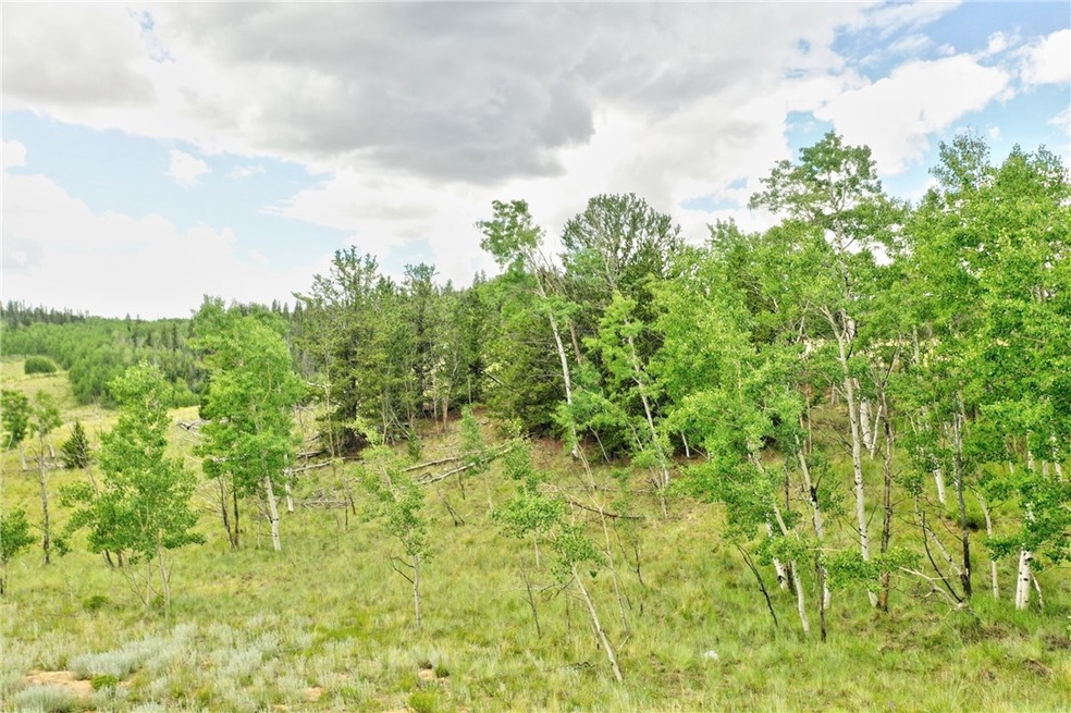 440 Sharps Way, Como, CO 80432 - photo 1