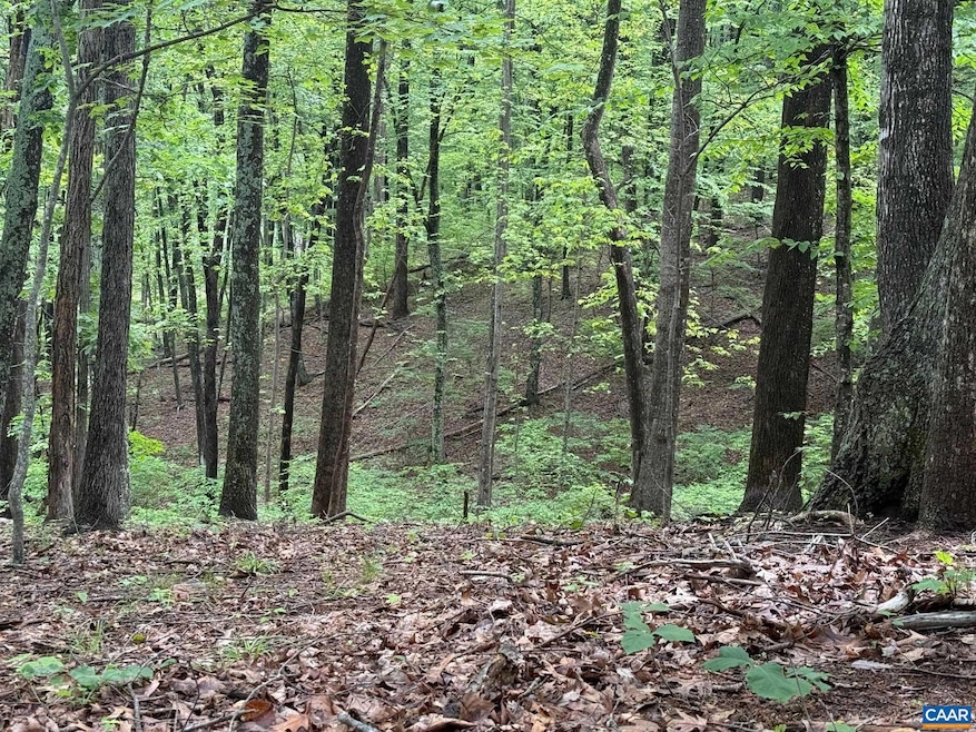 TBD Rabbit Valley Rd, North Garden, VA 22959 - photo 1