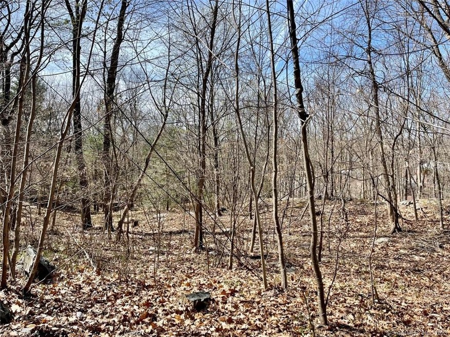 24 Butternut Dr, Norwich, CT 06360 - photo 1