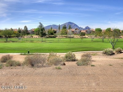Camelback View
