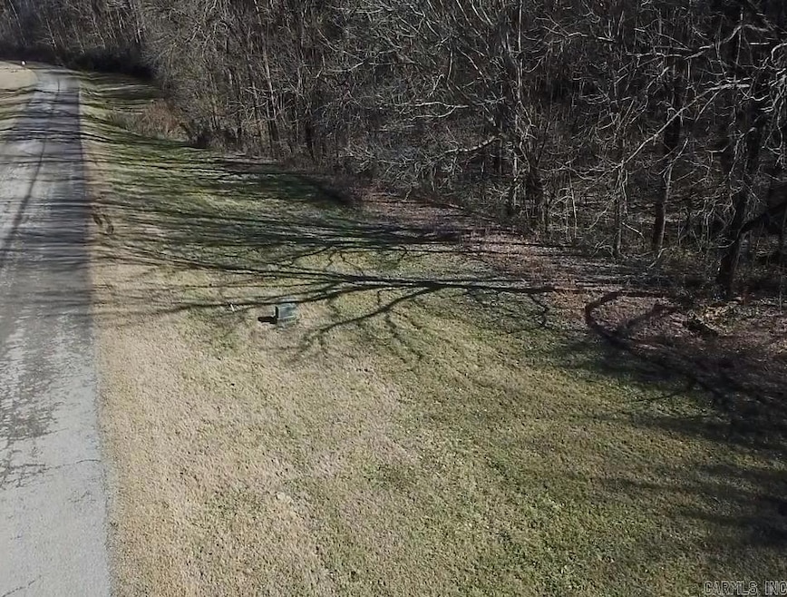 Lot 108 Cane Island Rd, Flippin, AR 72634 - photo 1