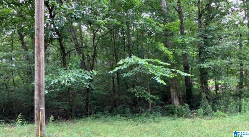 0 14th St unit 15 21431339, Calera, AL 35040 - photo 1