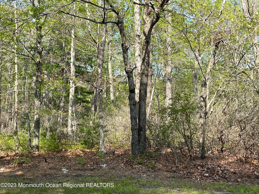 0 Stafford Forge Rd unit 22225300, West Creek, NJ 08092 - photo 1