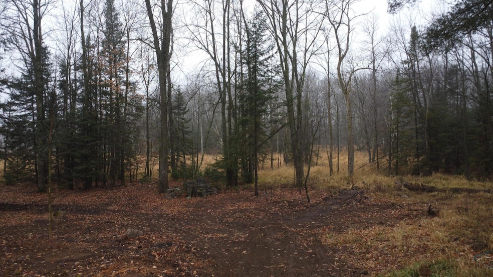 N10595 U S 45, Aniwa, WI 54414 - photo 1