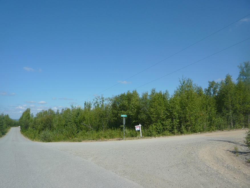 11809 Wasey Way, Big Lake, AK 99654 - photo 1