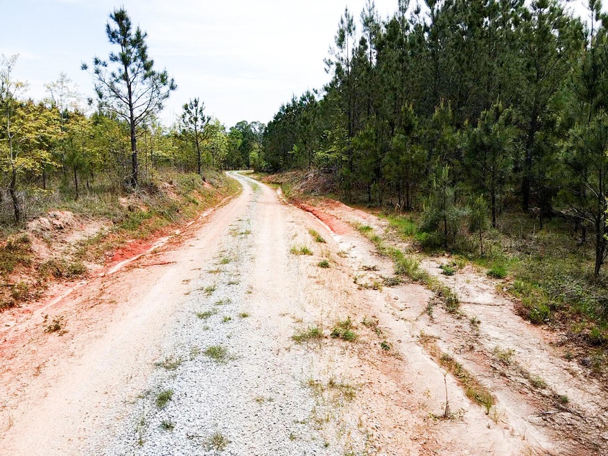 Road