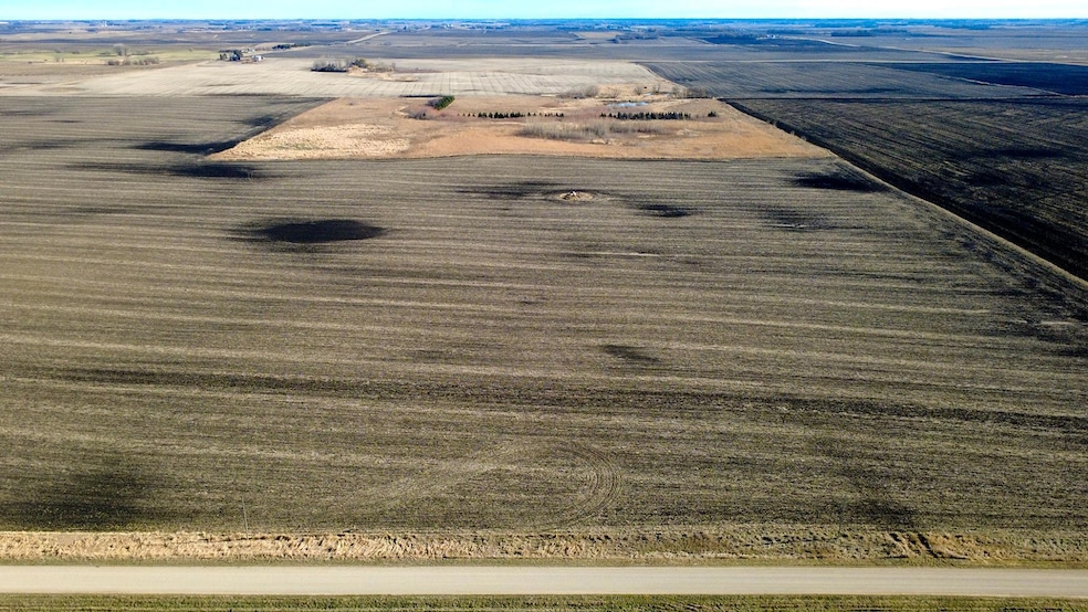 000 545th Ave, Cosmos, MN 56228 - photo 1