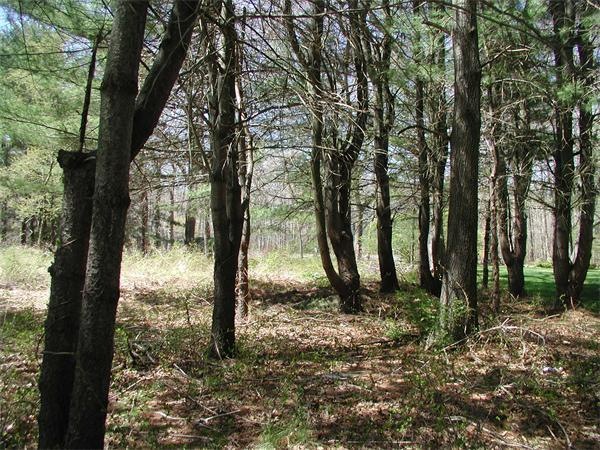 54-1 Elm St, Dartmouth, MA 02748 - photo 1