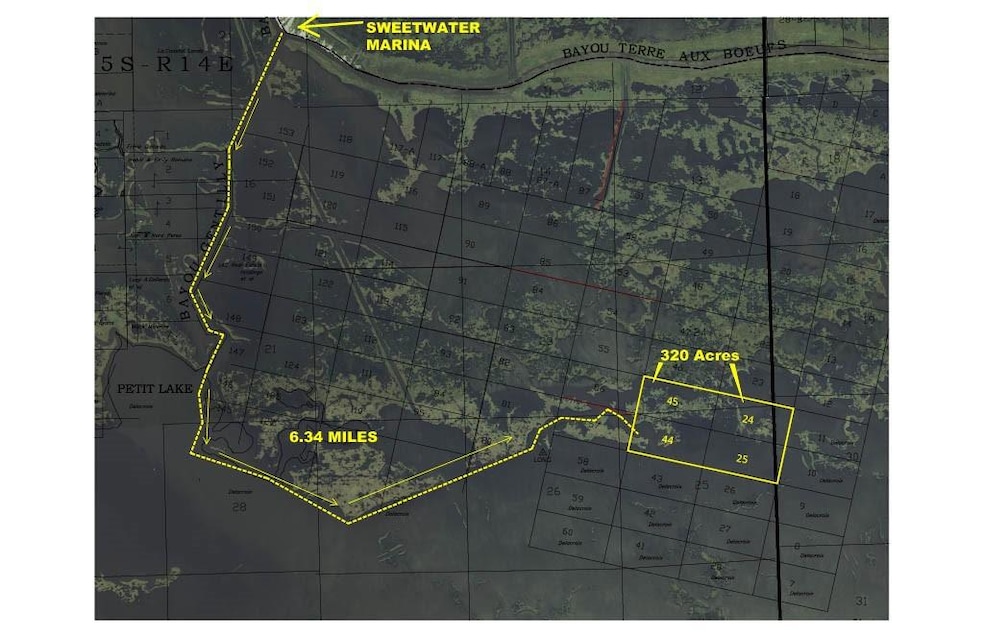 Lot 24, 25, 44 & 45 None None, Port Sulphur, LA 70083 - photo 1