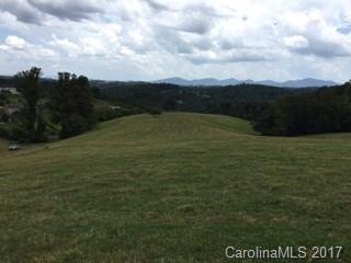 15.858 Acres Turkey Creek Rd, Leicester, NC 28748 - photo 1