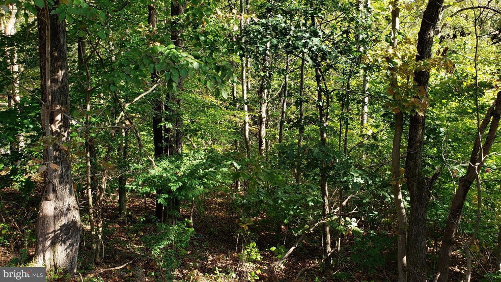 0 Vaught Dr unit VAWR138412, Front Royal, VA 22630 - photo 1