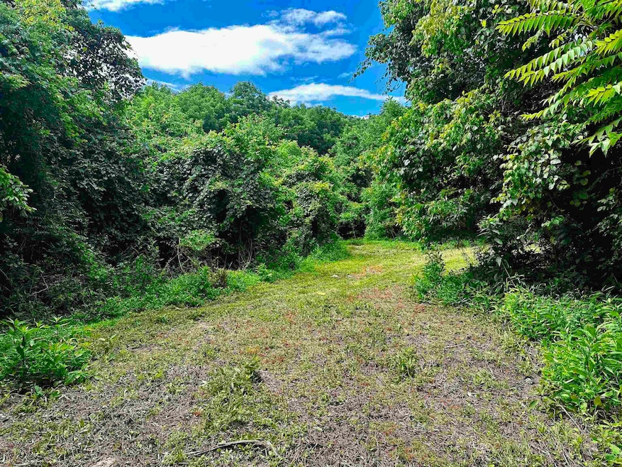 Tract #5 Holt Rd, Louisa, KY 41230 - photo 1