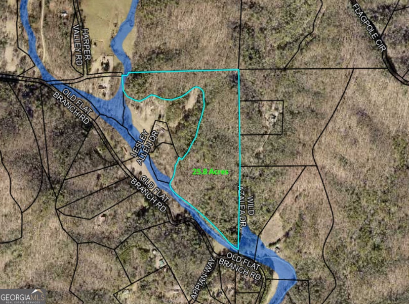 0 Old Flat Branch Rd unit 10478852, Ellijay, GA 30540 - photo 1