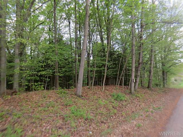 Land/Lot