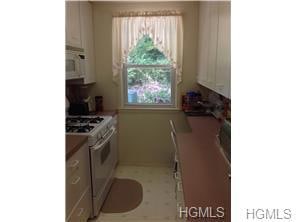 27 Avon Cir unit D, Rye Brook, NY 10573 - photo 1